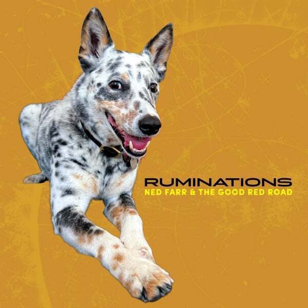Cover art for Ruminations